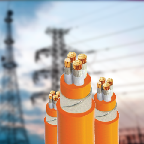 Dây cáp điện cháy chậm Cadisun